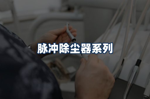 脉冲除尘器展示