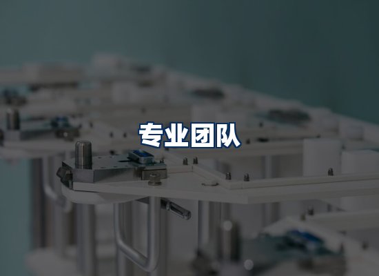 专业团队